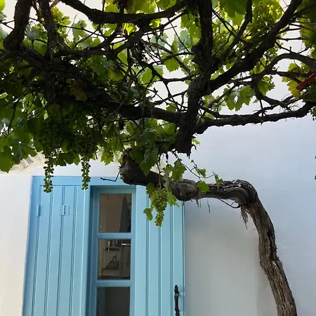 Dream House Little - アモルゴス島