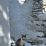 Dream House Little - Amorgos