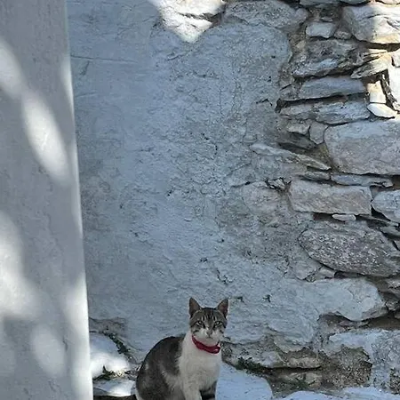 Dream House Little - Amorgos