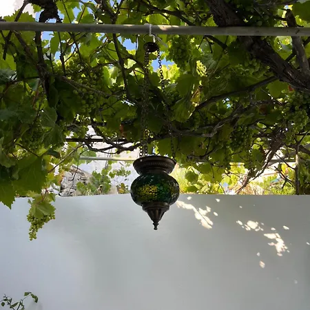 Villa Dream House Little -