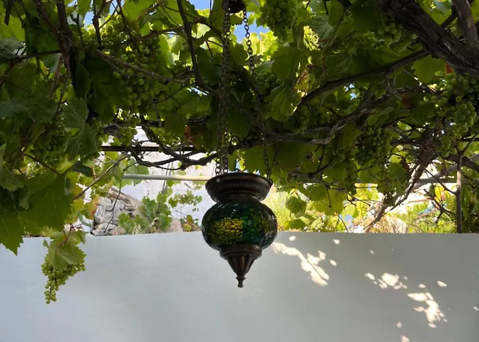 Villa Dream House Little -